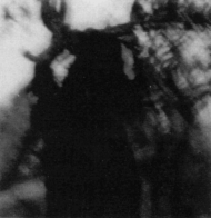joshua chalifour (caves and tropics era)