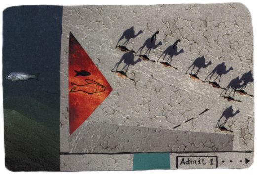 Camels and Fish